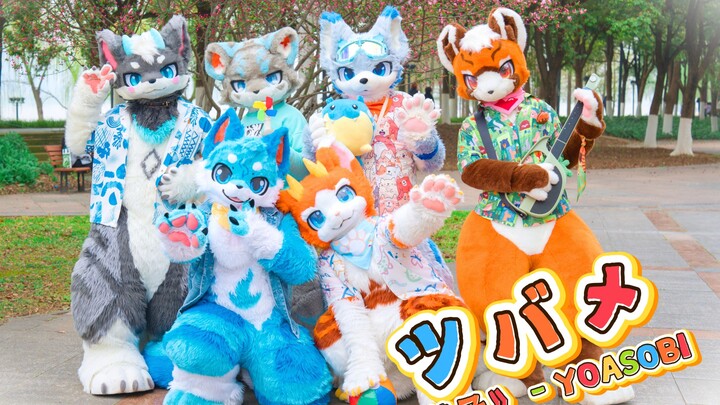 【Tarian kostum binatang】 Terbang menuju musim semi bersama si berbulu lebat ✨ | "Walet / Tsugumi" - 