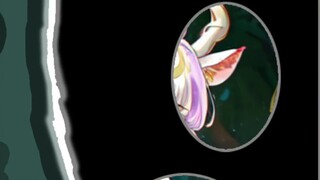 A beautiful creature walking in the world—the doe in the woods