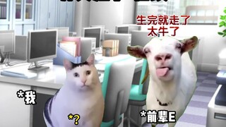 คนไม่รู้ : ฉากฉลามนี่มันเรื่องอะไรกันวะ...