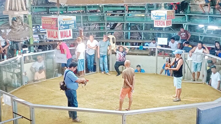 Bawi next time Tantay Game Farm