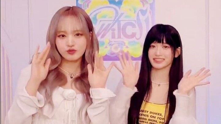 Jin Zhiyuan and Li Rui's "HEYA" challenge 🐶🐱🐯☀️