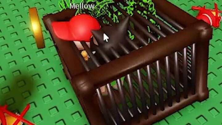fell into the trap himself #roblox #shorts #catgamer