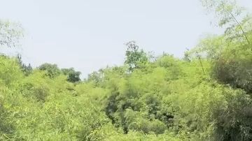 เซียนบ่นโลกมนุษย์