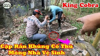 Team Săn Bắt Ẩm Thực Vùng Cao Hì Hục Đào Tung Móng Nhà Về Sinh Thu Phục Cặp Rắn Hổ Mang Khủng