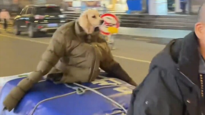 May every puppy in the world be loved by someone.