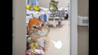 الحب يمكنه أن يصنع المعجزات