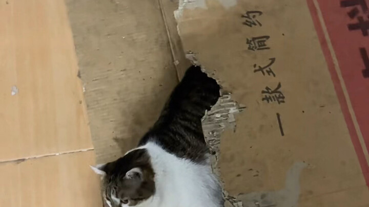 เขาอยากโดนต่อยจริงๆ นะ