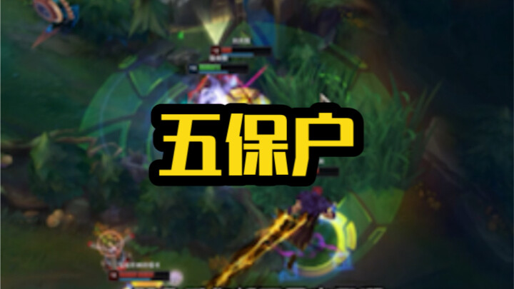 ما هي أسرة الخمس ضمانات؟