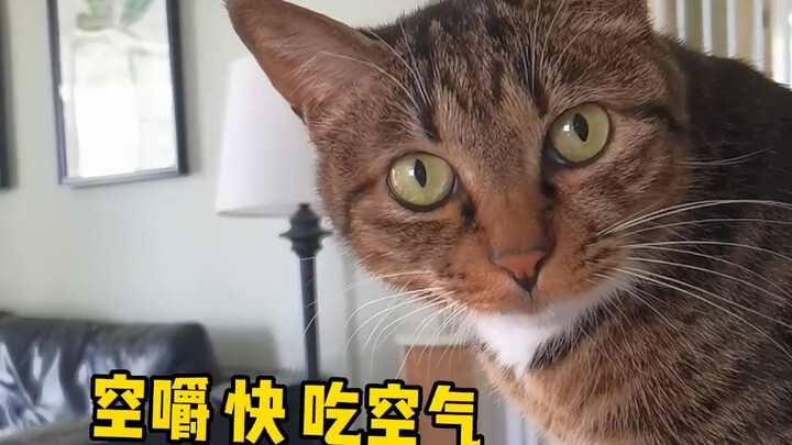 Take your child to see a doctor as soon as possible—how can he still not be able to talk at this age