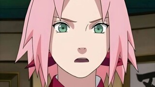 SAKURA SUS Bnget