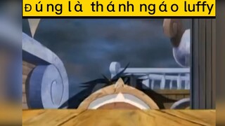 Những khoảnh khắc ngáo ngơ của luffy