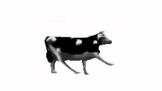 i finally found the old memes title: polish cow