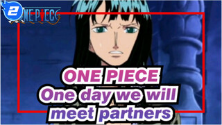 ONE PIECE|【Nicole &Robin】One day we will meet partners_2