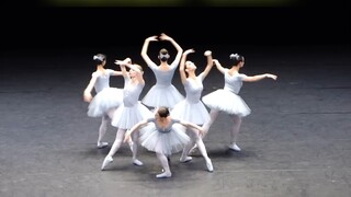 Funny ballet "The Swan"