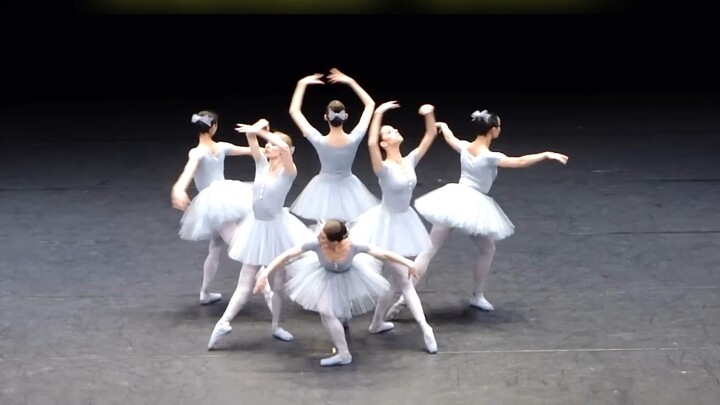 Balet lucu "The Swan"