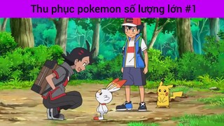 Thu phục pokemon số lượng lớn p1