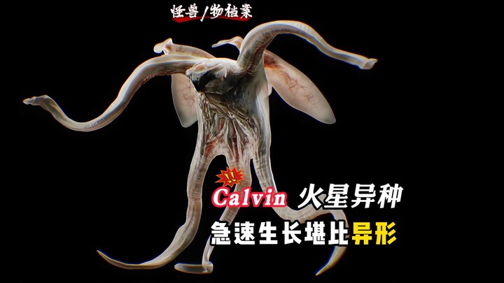 [File Monster] Calvin Mars Xenomorph, laju pertumbuhannya sedikit lebih lambat dari Alien, pemburu a