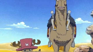 One Piece, the lovely Chopper can actually translate, it’s really great