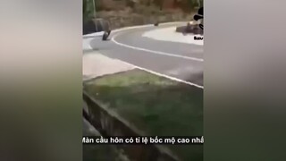 cầu hôn bạn gái thôi mà xuhuong cười vui