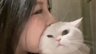 小猫咪喜欢强制爱