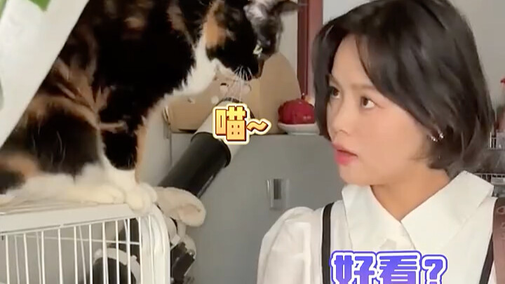 แมวเหมียว: อย่ามาทำให้ฉันรู้สึกคลื่นไส้เลยนะคะ