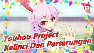 [Touhou Project/MAD Gambaran Tangan] Kelinci Dan Pertarungan, Sangat Direkomendasikan_2