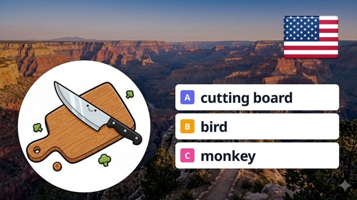 Guess 4 English Words: Cutting Board, Bird, City, Monkey!