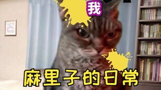 [Video Asli] Mariko yang Disiram Air Suci oleh Tamu Kuso | Meme Kucing