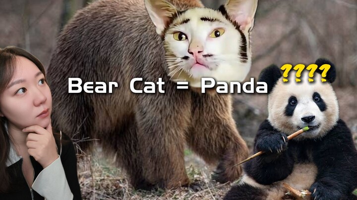 In Mandarin, Animal Names Are Sometimes Super Straightforward