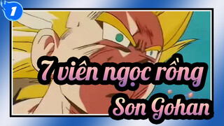 [7 viên ngọc rồng] Đặc vụ công lý Son Gohan - Unmei no hi tamashii VS tamashii_1