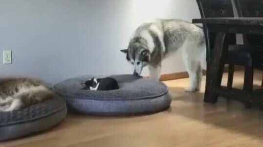 When you get home way too late...