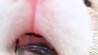 It suddenly kissed me, who would understand!