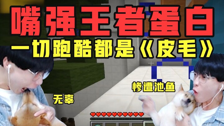 【酪蛋白周游记】嘴强王者面前，一切跑酷都是《皮毛》，费嘴还费狗