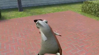 rat dance