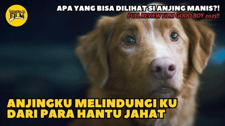 🎬 GOOD BOY (2025)‼️