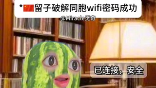又对上暗号了，留子同志们！