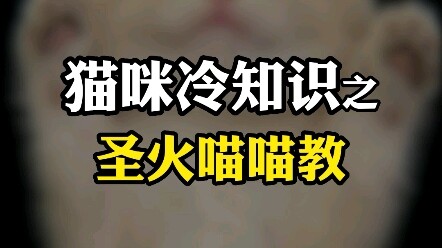 All my disciples: Meow meow meow meow!