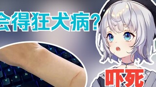 [ชิซูกุ] ซากุระสาวถูกแมวป่าข่วนและตกใจเมื่อได้ยินว่าเธอเป็นโรคพิษสุนัขบ้า