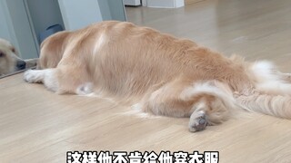 Sakura-chan hasn't worn any clothes in almost 2 months.