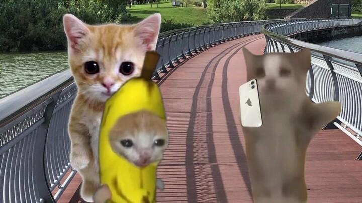 Banana Cat and Doll go on a trip, and Happy Cat helps them take commemorative photos.