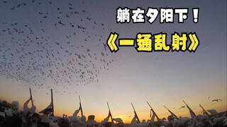 Cái gì! Con chim này càng bắn càng nhiều sao?