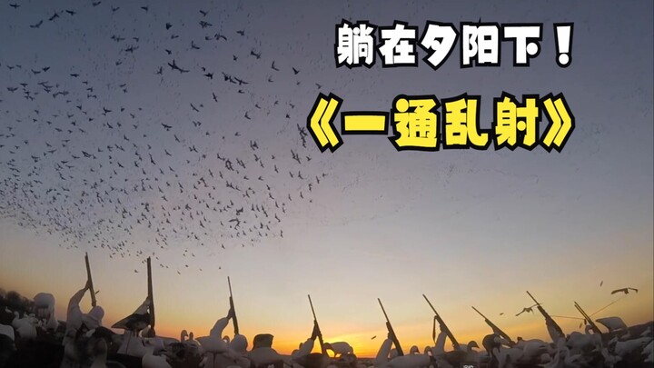 What! The more you shoot these birds, the more there seem to be?