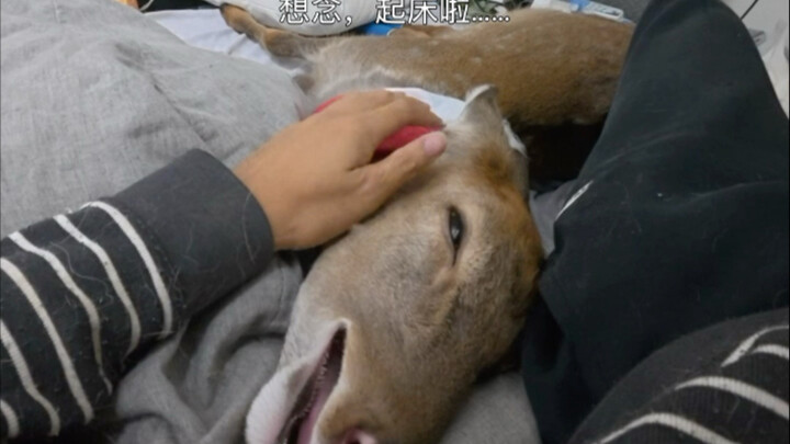 คิดถึง ขอให้หายเร็วๆ …