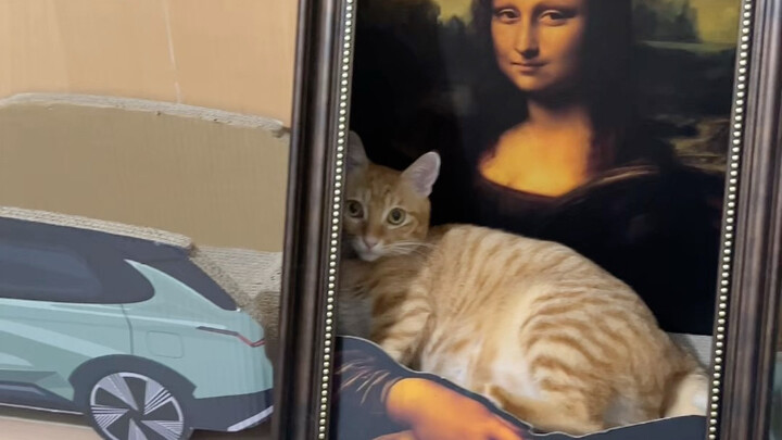 ระบบของกระเป๋ายังซับซ้อนเกินไป