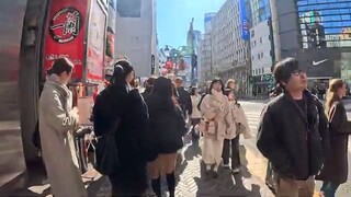 【DIG SHIBUYA 2025】Exploring the Future of Shibuya - Art & Tech City Walk【4K】