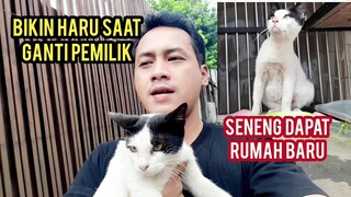 Subhanallah Kucing Ini Seneng Banget Di Adopsi Karena Di Tinggal Pemiliknya Pindah..!