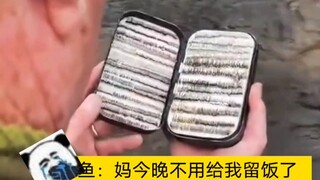 鱼：各种花样都给你玩明白了