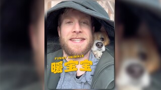 强烈推荐这款“暖宝宝”