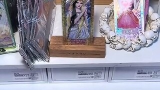 Các công chúa, tôi đến muộn, xin hãy xem.