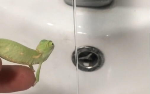 Anakku, kamu tidak bisa mengendalikannya